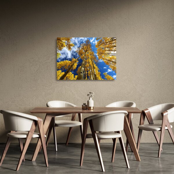 Tablou pe sticlă - Aspen (70x50 cm)