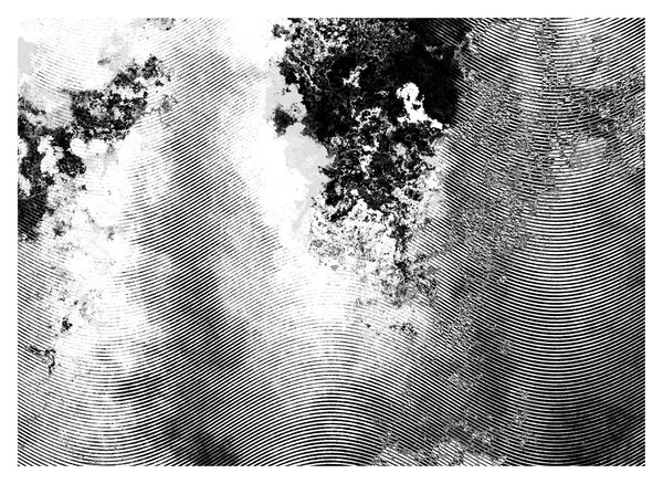 Tablou pe sticlă - Eclozare (70x50 cm)