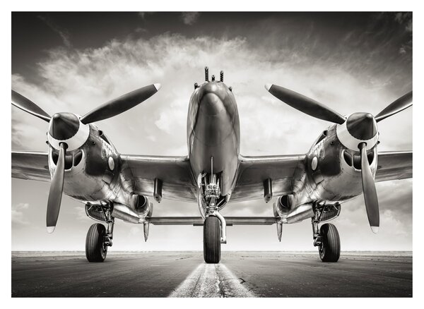 Tablou pe sticlă - Warbird (70x50 cm)