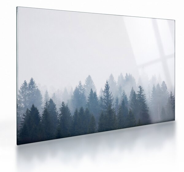 Tablou pe sticlă - Pădure cețoasă (70x50 cm)