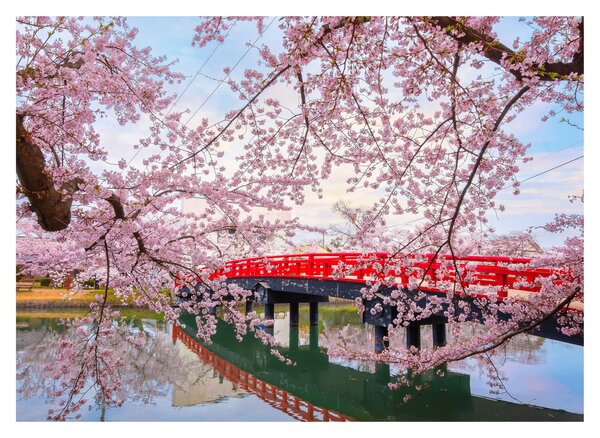 Tablou pe sticlă - Hirosaki, Japonia (70x50 cm)