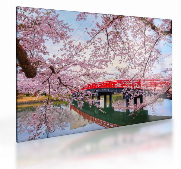 Tablou pe sticlă - Hirosaki, Japonia (70x50 cm)