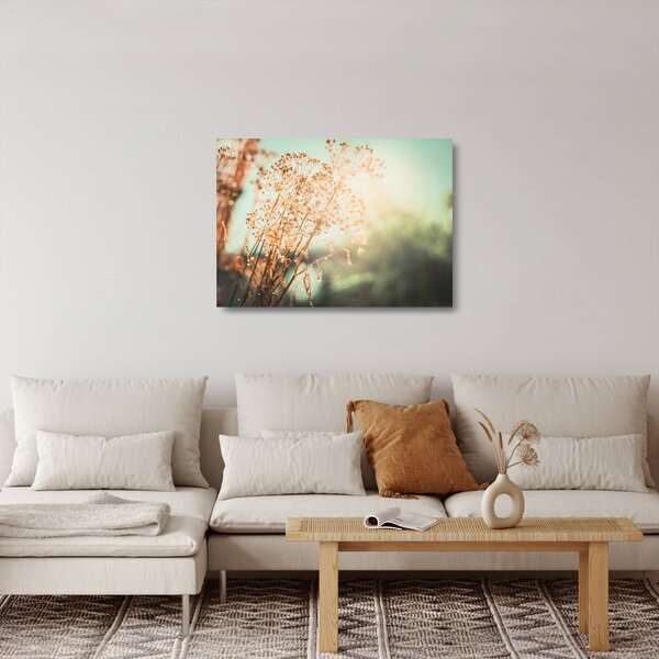 Tablou pe sticlă - Plante după ploaie (70x50 cm)