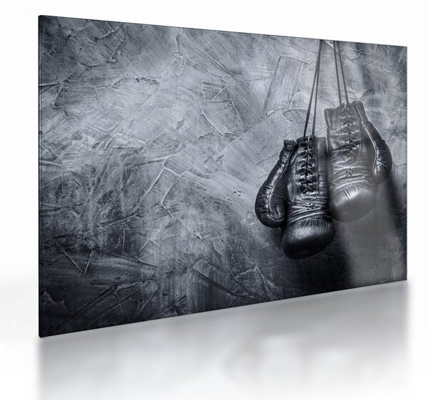 Tablou pe sticlă - Mănuși de box (70x50 cm)