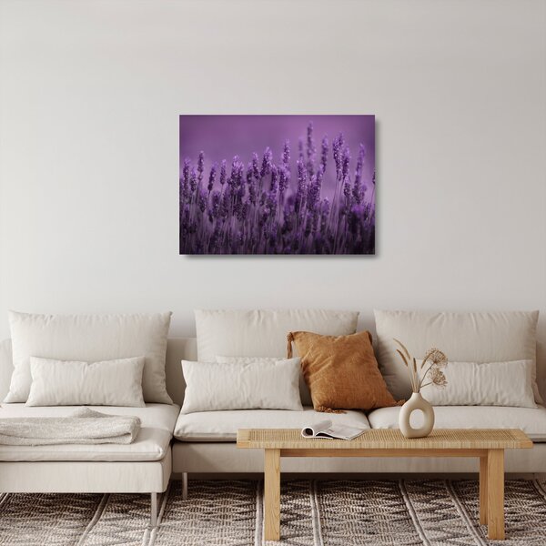 Tablou pe sticlă - Lavanda (70x50 cm)