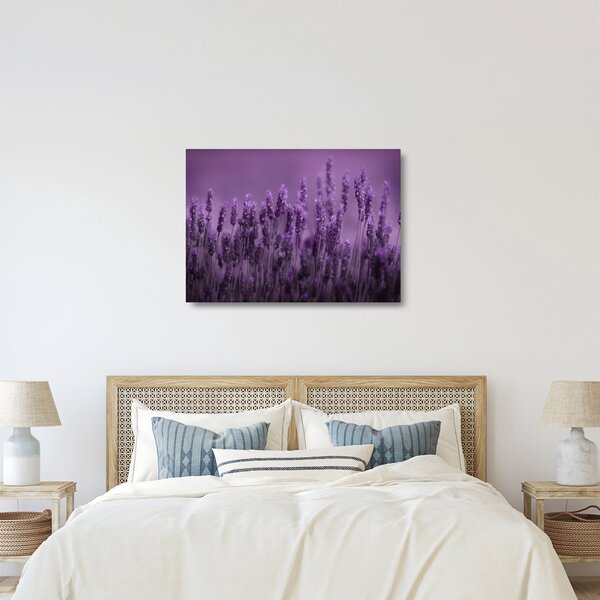 Tablou pe sticlă - Lavanda (70x50 cm)