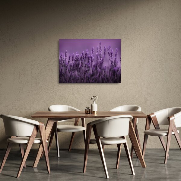 Tablou pe sticlă - Lavanda (70x50 cm)