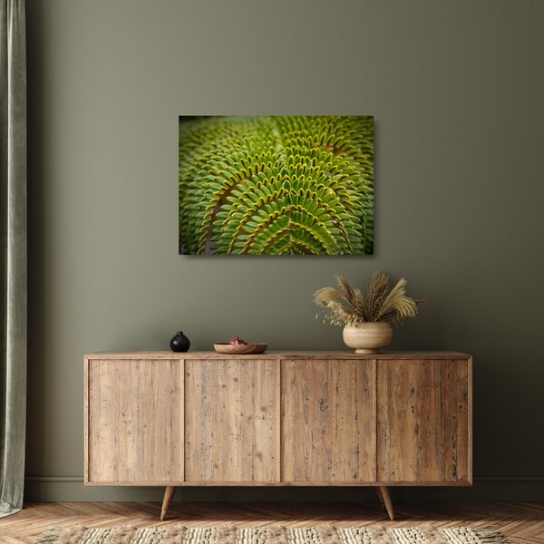Tablou pe sticlă - Fern (70x50 cm)