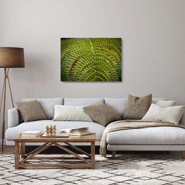 Tablou pe sticlă - Fern (70x50 cm)