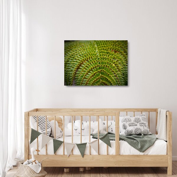 Tablou pe sticlă - Fern (70x50 cm)