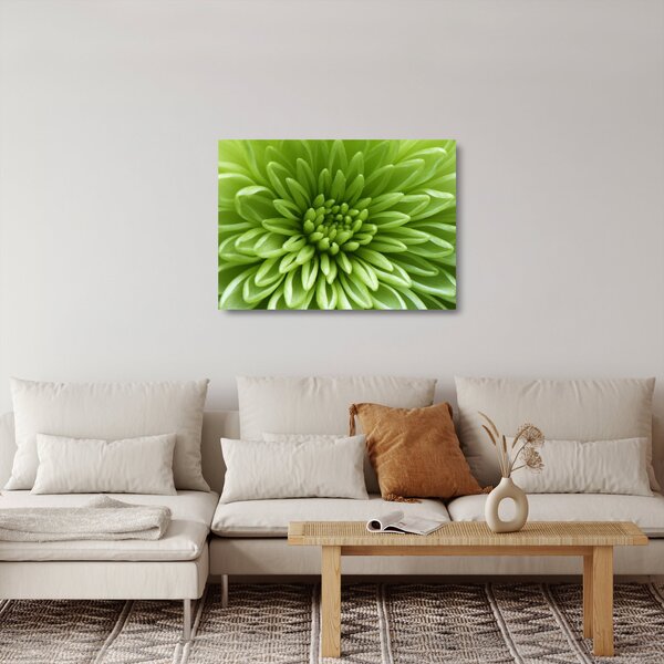 Tablou pe sticlă - Imagine macro a unei plante (70x50 cm)