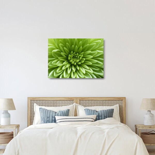 Tablou pe sticlă - Imagine macro a unei plante (70x50 cm)