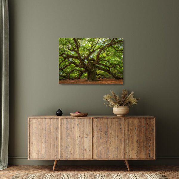 Tablou pe sticlă - Copac verde (70x50 cm)