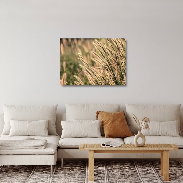 Tablou pe sticlă - Cereale (70x50 cm)