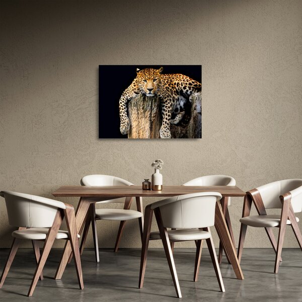 Tablou pe sticlă - Ghepard (70x50 cm)
