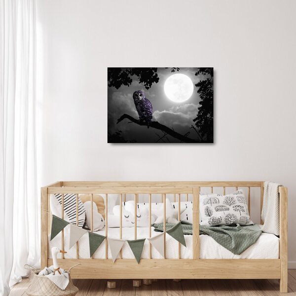 Tablou pe sticlă - Bufniță de noapte, bufniță mov (70x50 cm)