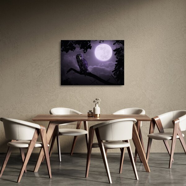 Tablou pe sticlă - Bufniță de noapte, violet (70x50 cm)