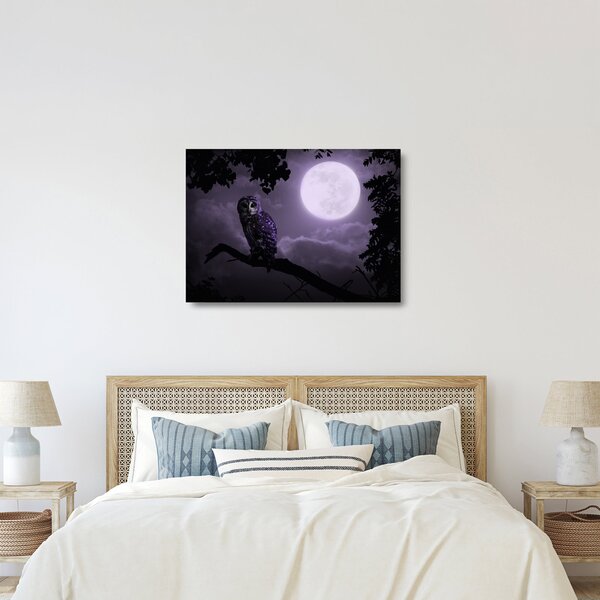 Tablou pe sticlă - Bufniță de noapte, violet (70x50 cm)