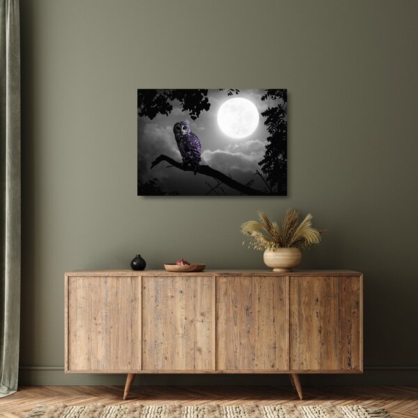 Tablou pe sticlă - Bufniță de noapte, bufniță mov (70x50 cm)