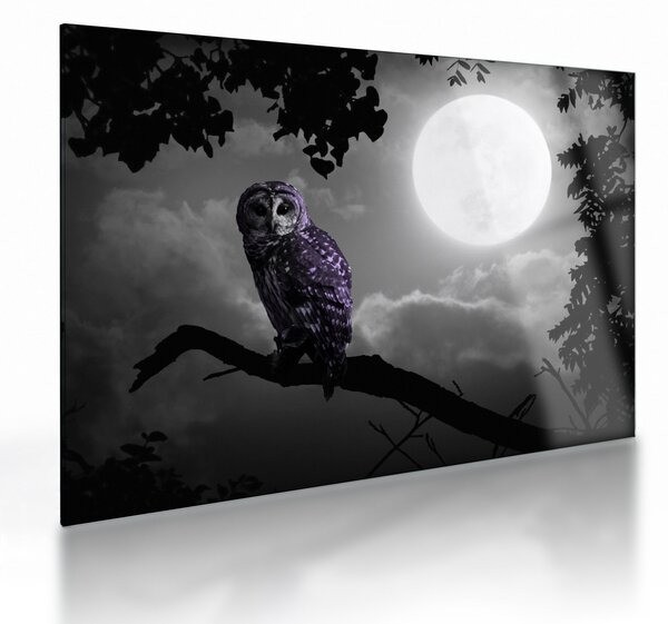 Tablou pe sticlă - Bufniță de noapte, bufniță mov (70x50 cm)
