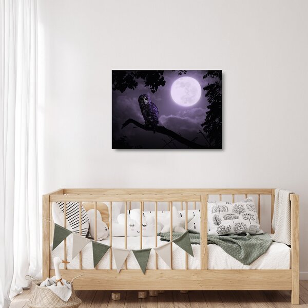 Tablou pe sticlă - Bufniță de noapte, violet (70x50 cm)