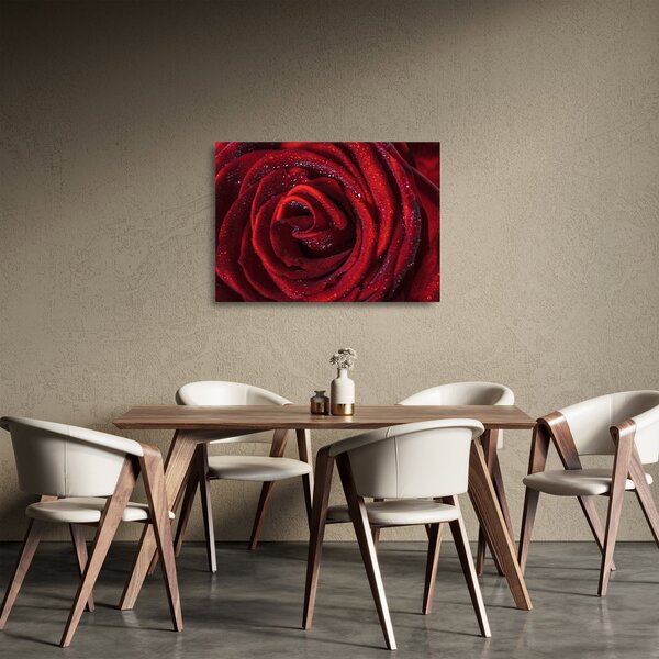 Tablou pe sticlă - Trandafir roșu cu picături de rouă (70x50 cm)