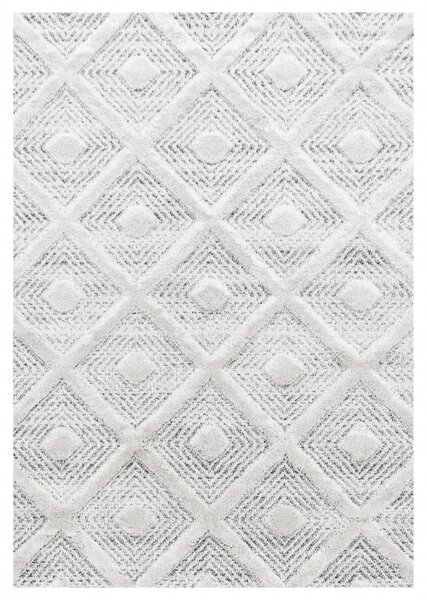 Covor Pisa Gri V6 60x110 cm