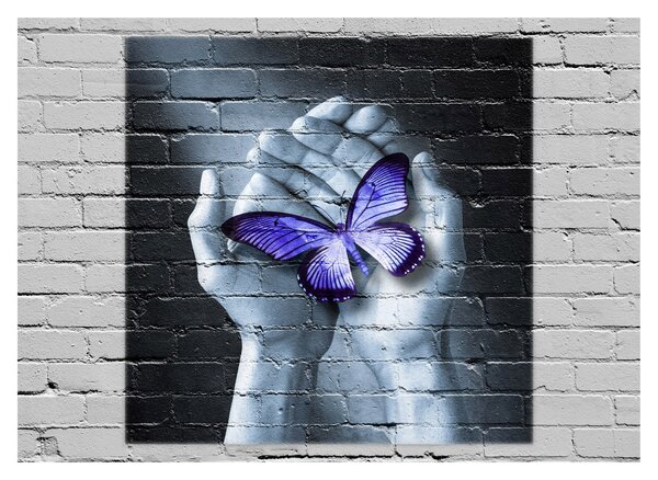 Tablou pe sticlă - Fluture violet pe perete (70x50 cm)