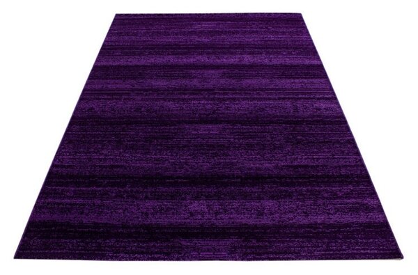 Covor Plus Lila V1 80x150 cm