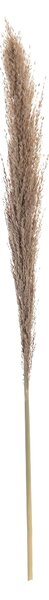 Ramură de pampas 130cm