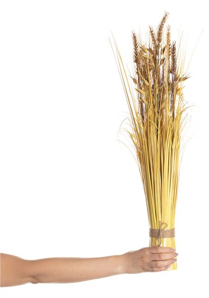 Decorațiuni din boabe uscate 74cm