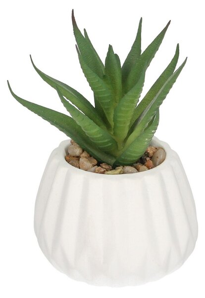 Decorațiuni Agawa 12cm