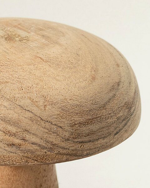 Ciupercă Heartcap 9x9x11 cm