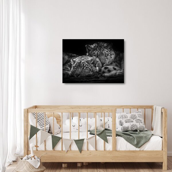 Tablou pe sticlă - Gheparzi care se odihnesc (70x50 cm)