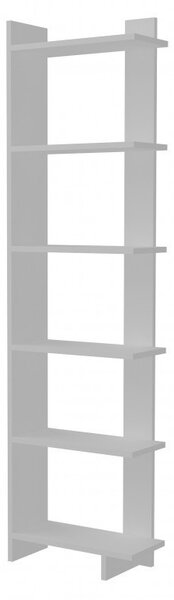 Biblioteca Salvador, Model Order, Alb