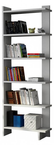 Biblioteca Salvador, Model Order, Alb