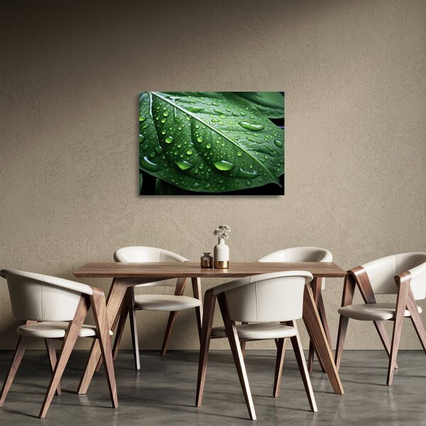 Tablou pe sticlă - Detaliu de frunze după ploaie (70x50 cm)