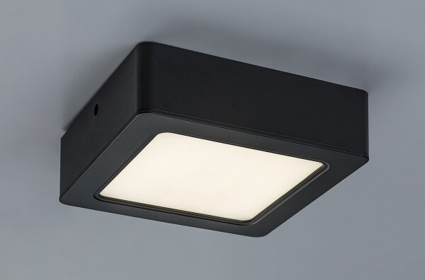 Plafonieră LED SHAUN LED/12W/230V 14 cm Rabalux 2689