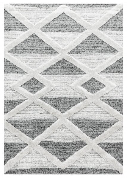 Covor Pisa Gri V7 80x150 cm