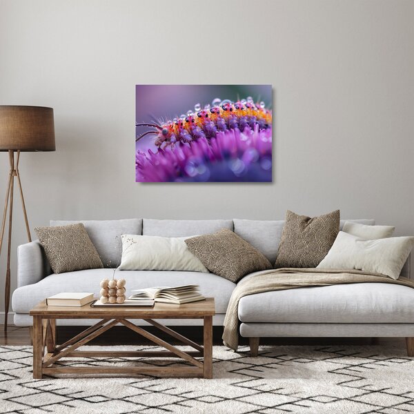 Tablou pe sticlă - Caterpillar (70x50 cm)