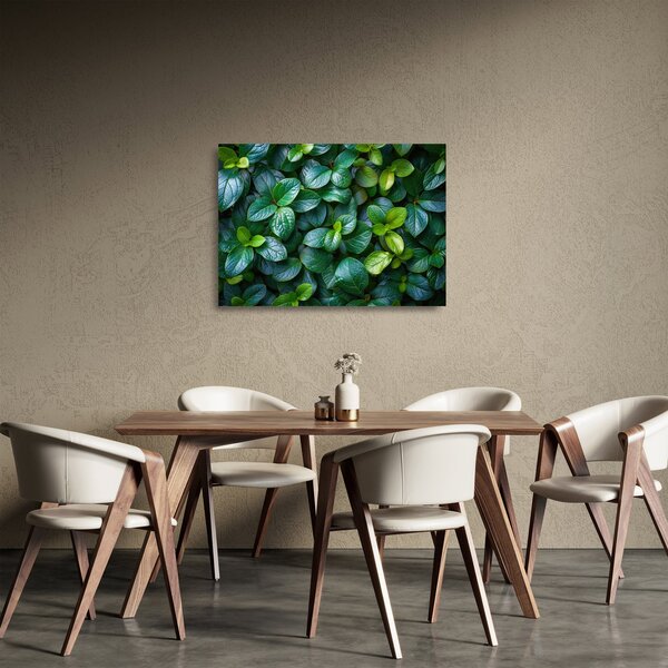 Tablou pe sticlă - Plante verzi (70x50 cm)