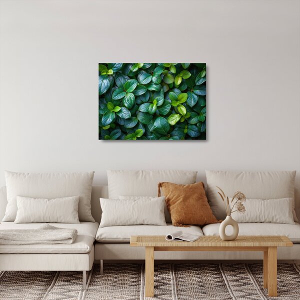 Tablou pe sticlă - Plante verzi (70x50 cm)