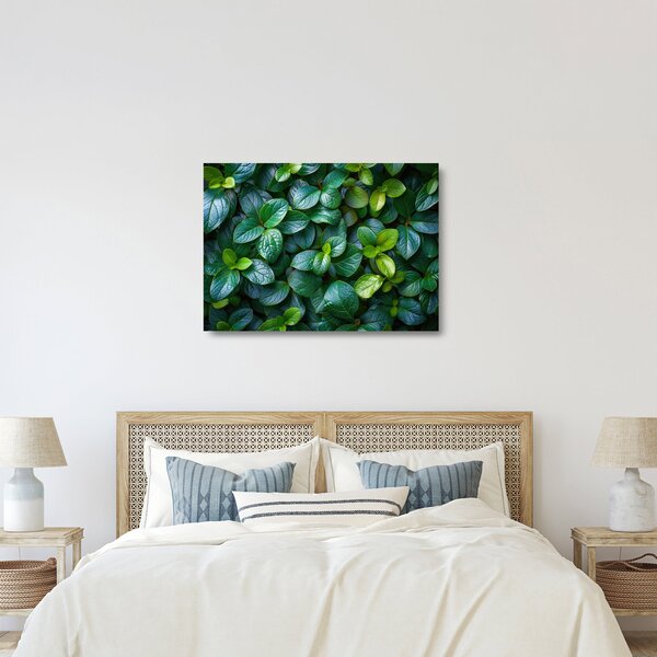 Tablou pe sticlă - Plante verzi (70x50 cm)