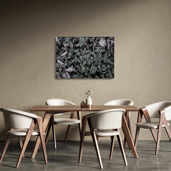 Tablou pe sticlă - Plante înghețate (70x50 cm)