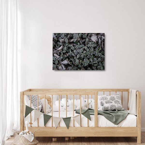 Tablou pe sticlă - Plante înghețate (70x50 cm)
