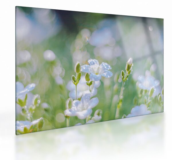 Tablou pe sticlă - Flori delicate (70x50 cm)
