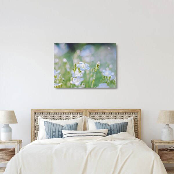 Tablou pe sticlă - Flori delicate (70x50 cm)