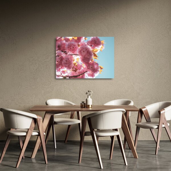 Tablou pe sticlă - Floare de cireș (70x50 cm)