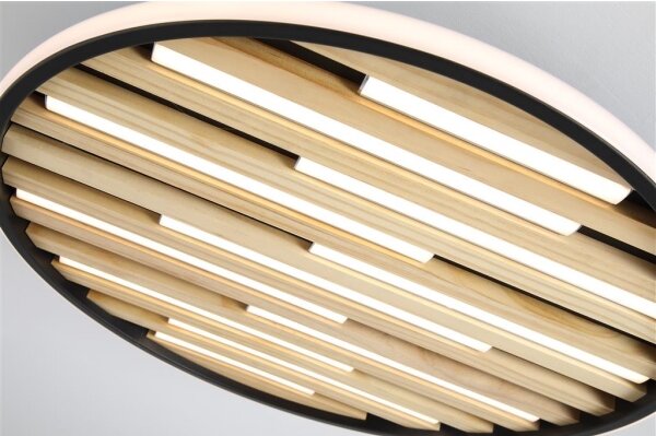 Searchlight 80980-49BK - Plafonieră LED dimabilă EQUALISE LED/33W/230V