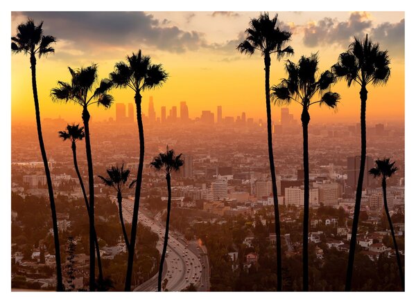 Tablou pe sticlă - Panorama din Los Angeles (70x50 cm)